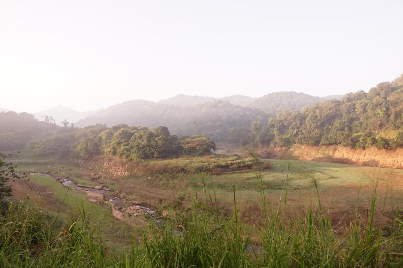 Retiyagama Eco Resort Teldeniya Dış mekan fotoğraf