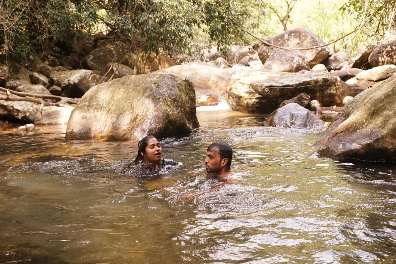Retiyagama Eco Resort Teldeniya Dış mekan fotoğraf