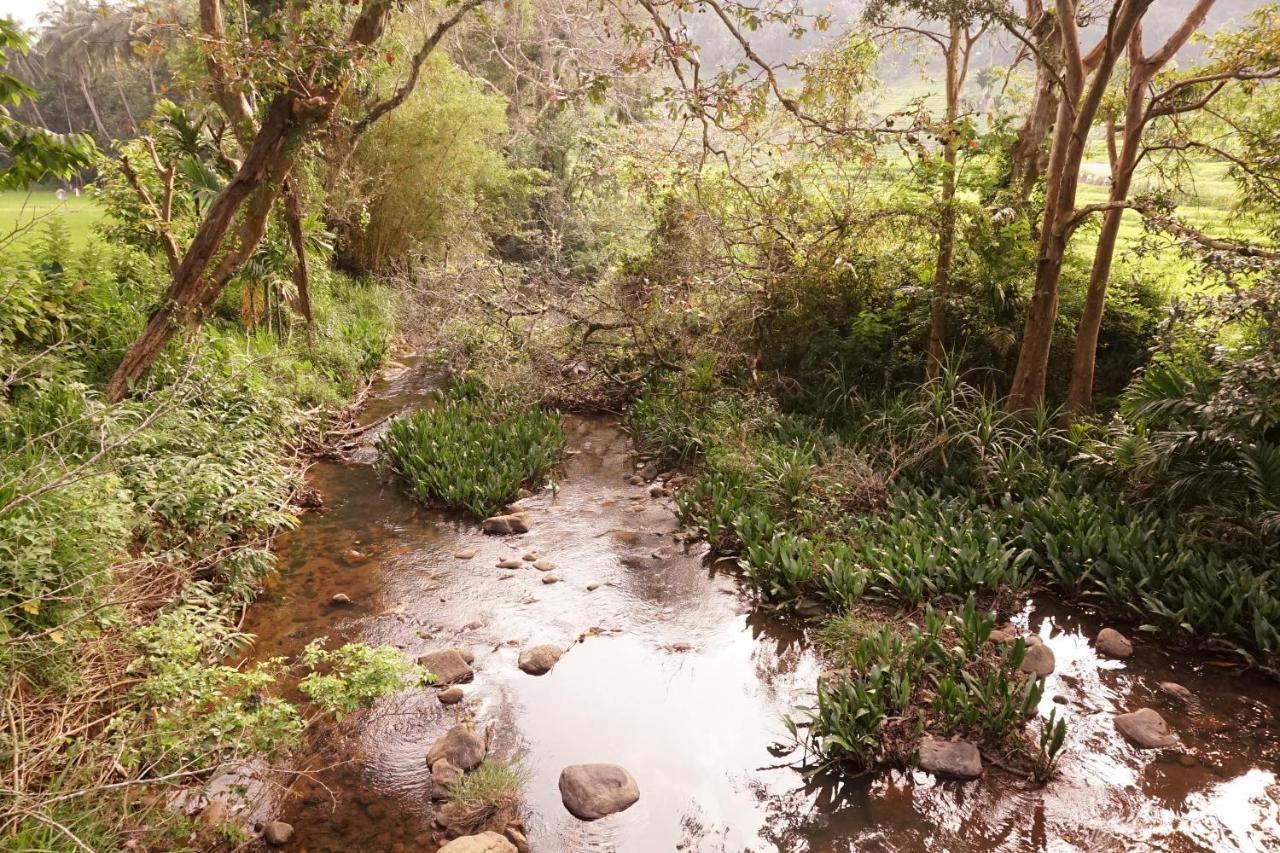 Retiyagama Eco Resort Teldeniya Dış mekan fotoğraf